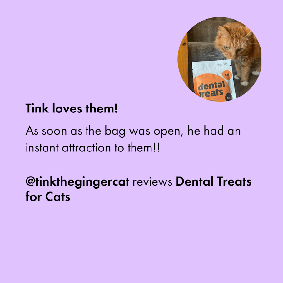 Dental Treats for Cats Vet Approved Itch