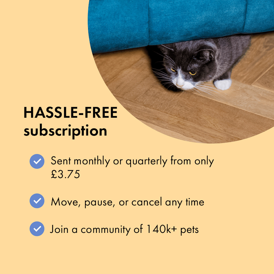 Pets at home sales worming tablets for cats