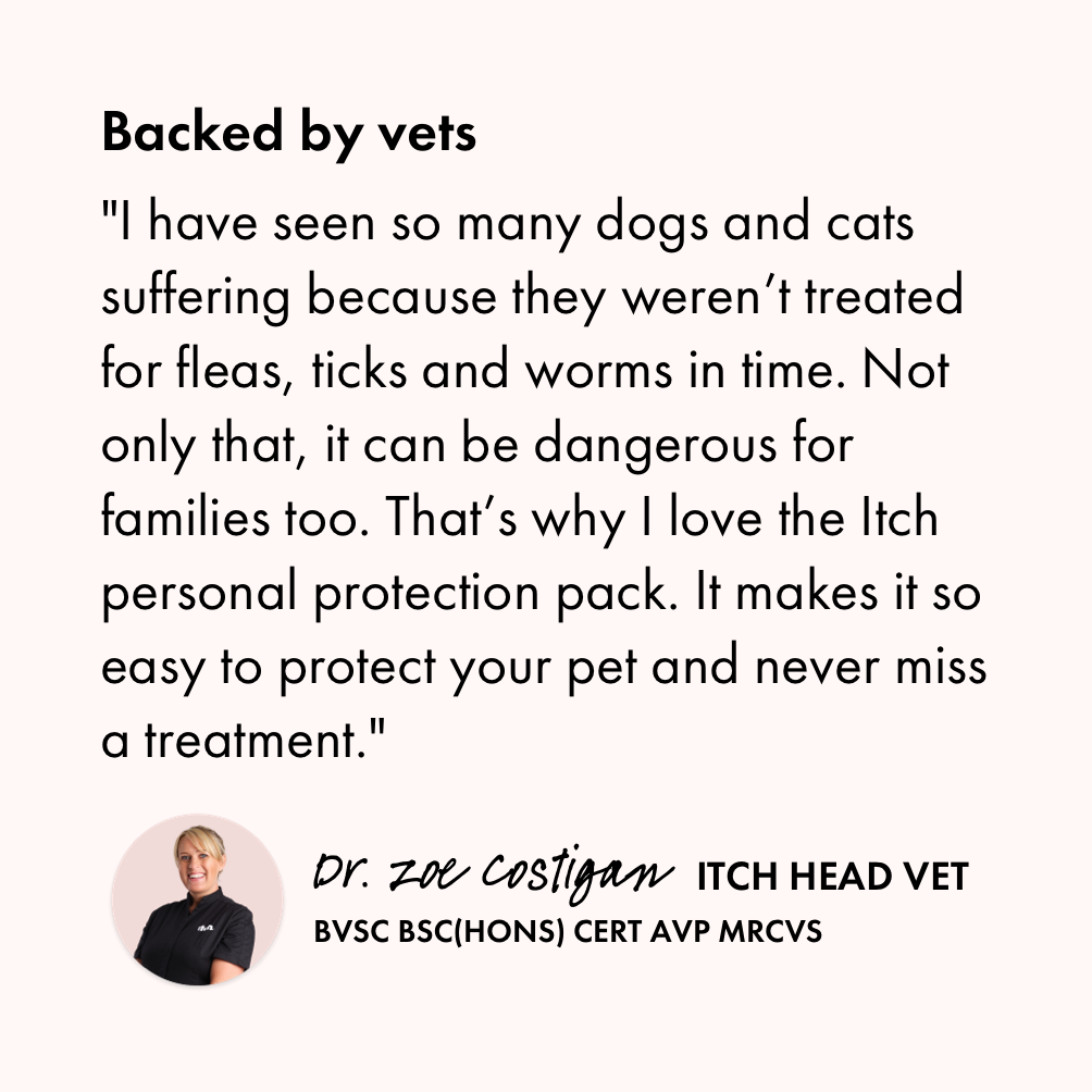 Itch Wormer Tablet, Double-Action worming tablets for Cats & Dogs - Vet quote