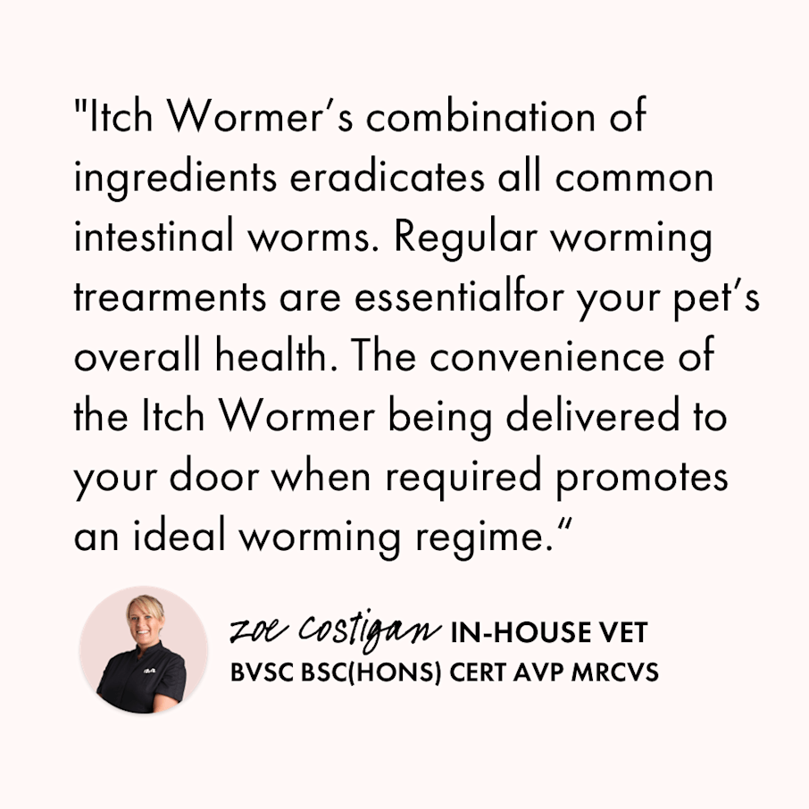 Itch Wormer Tablet, Double-Action worming tablets for Cats & Dogs - Vet quote