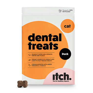 A pack shot of Itch Dental Treats for Dogs with a kibble at the side
