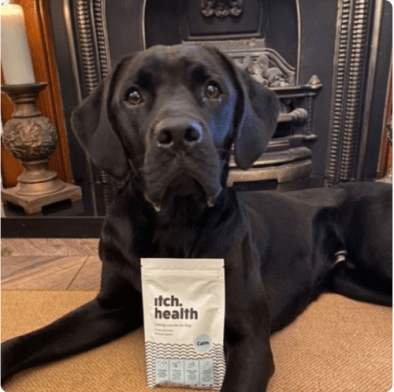 Itch home page - join our community of pets - image of dog with Itch Calming capsules