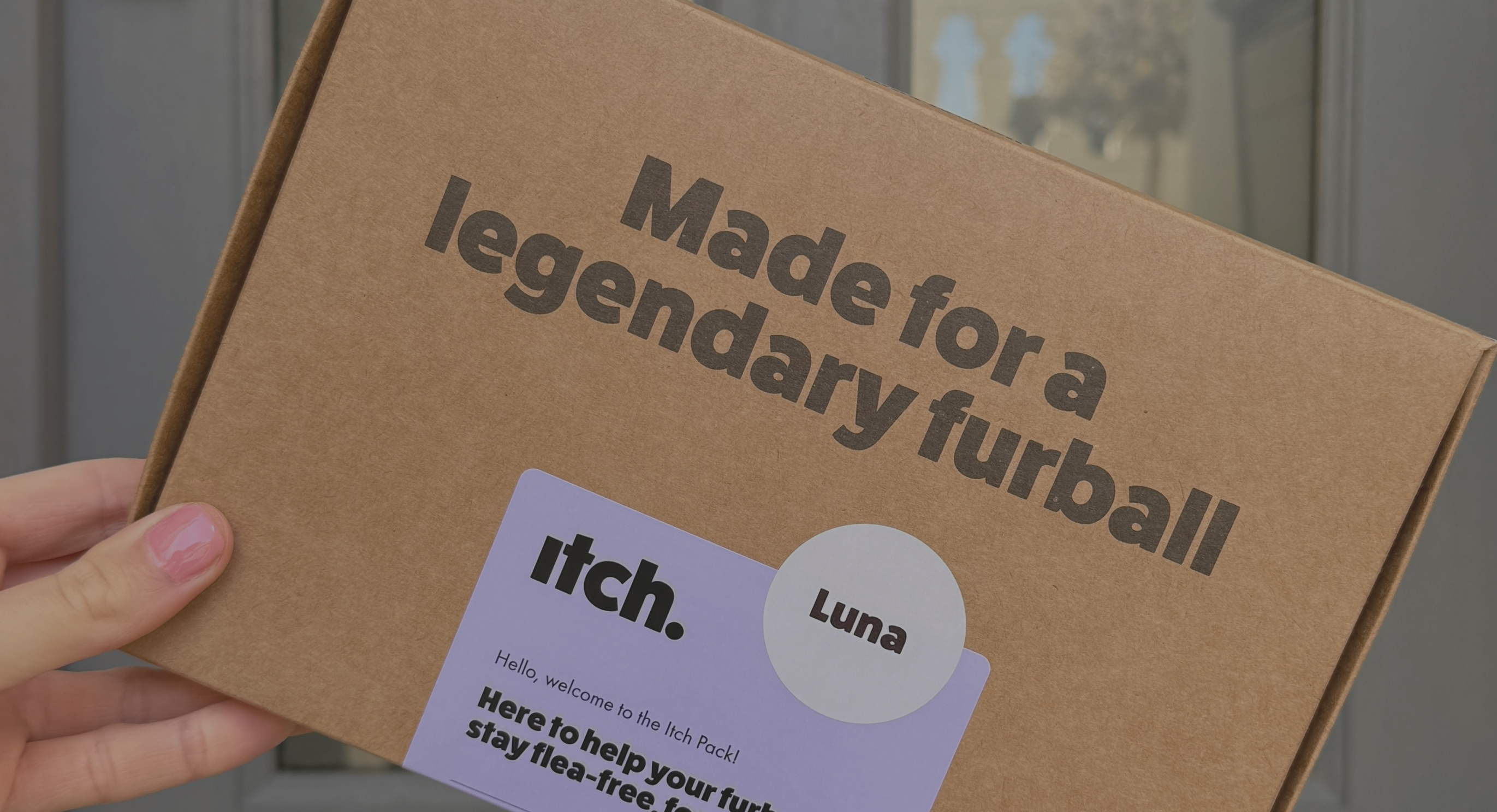 Itch Flea subscription thumbnail