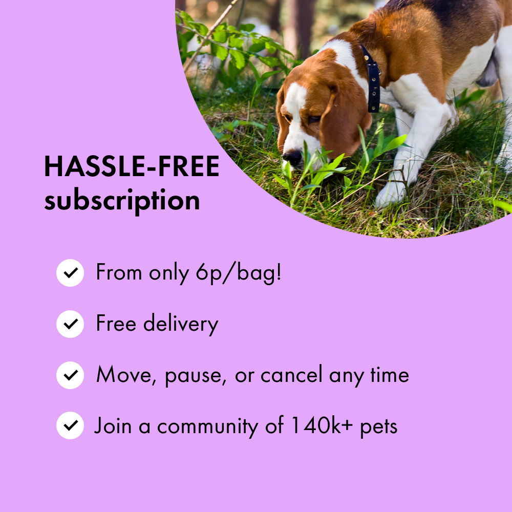 Itch Bum Bags, Plastic Free Compostable Poo Bags for Dogs - subscription benefits