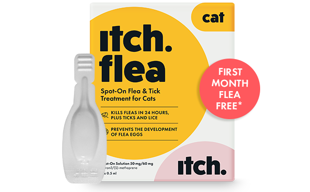 Itch Flea subscription - Get your first month FREE