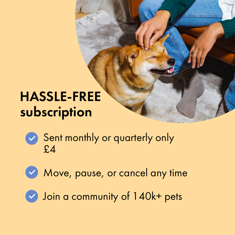 Worming Tablets Worm Treatment for Dogs Itch