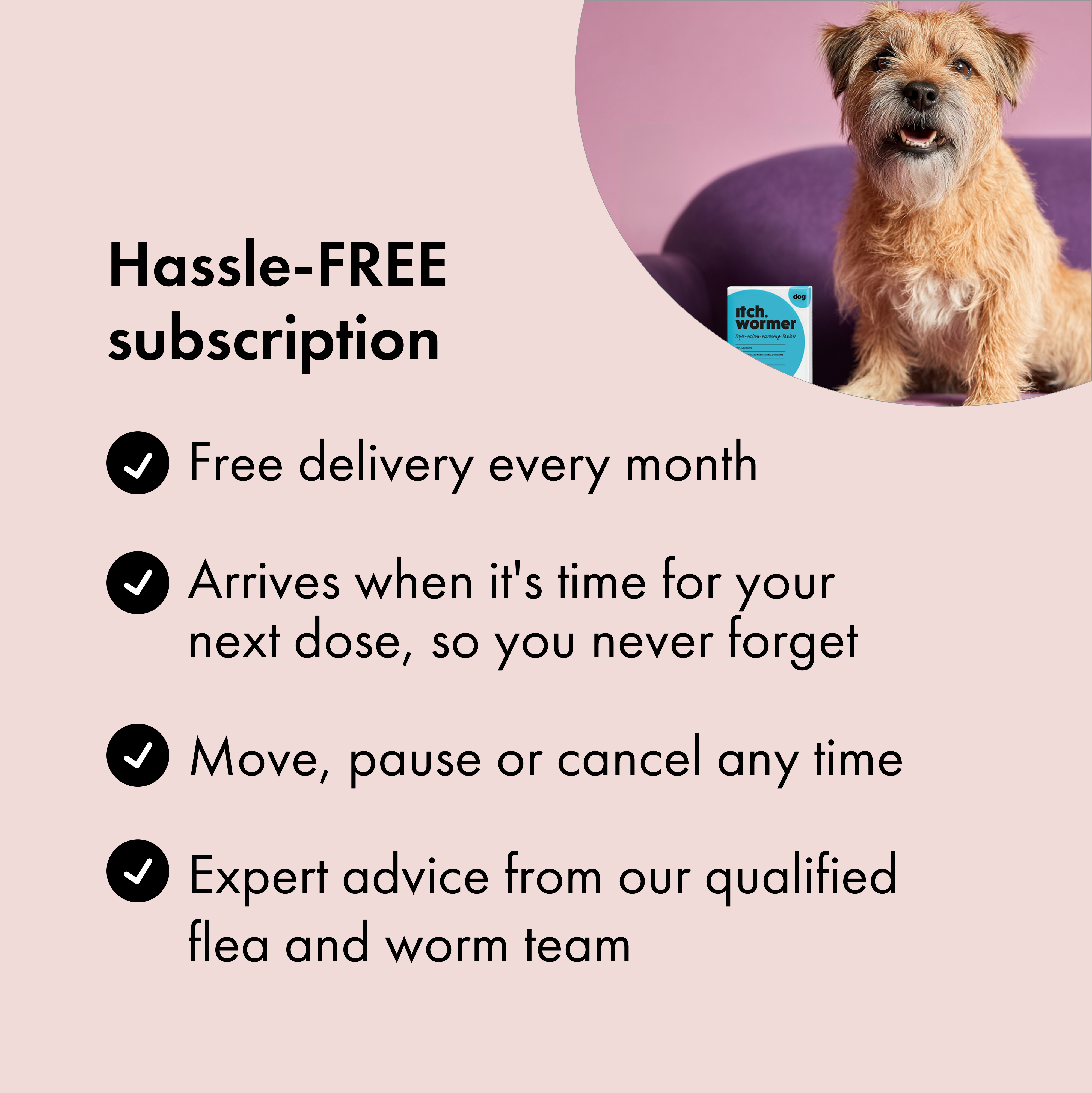 Benefits of subscribing to Itch Wormer Tablets for Dogs. 