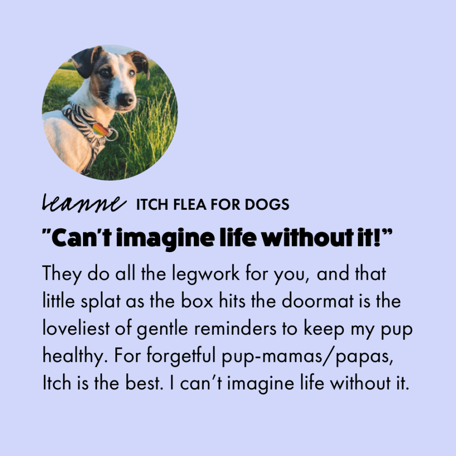 Customer review of Itch Flea for Dogs. "Can't imagine life without it! They do all the legwork for you, and that little splat as the box hits the doormat is the loveliest of gentle reminders to keep my pup healthy. For forgetful pup-mamas/papas, Itch is the best. I can't imagine life without it." Leanne