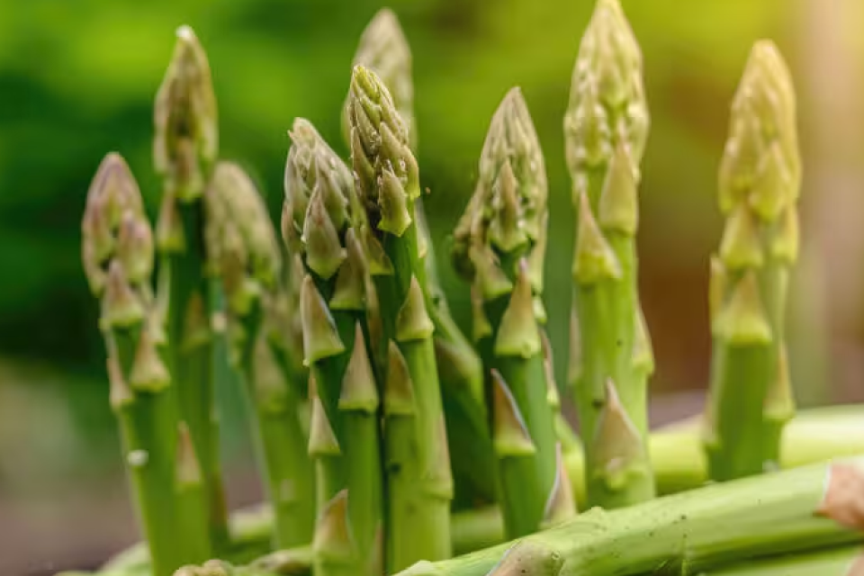 Fruit and veg supply update
