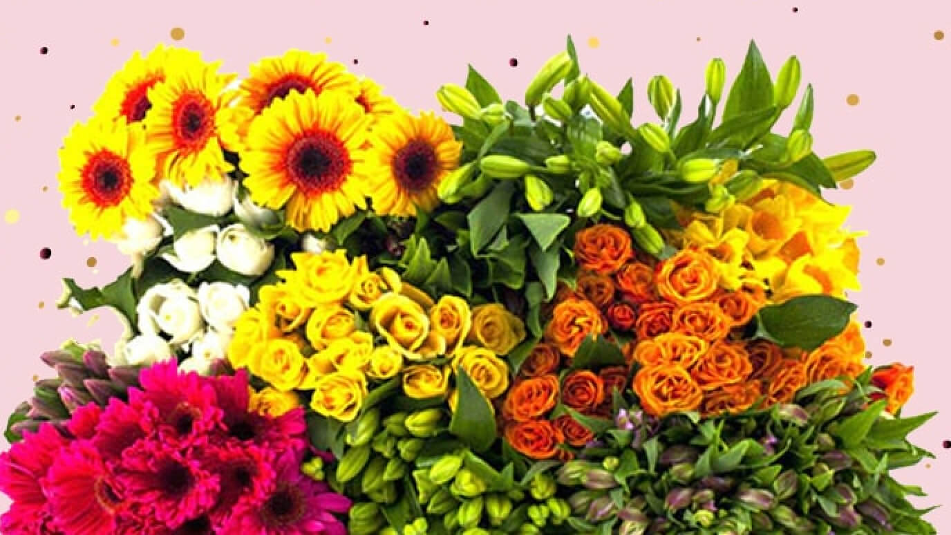Assorted flowers