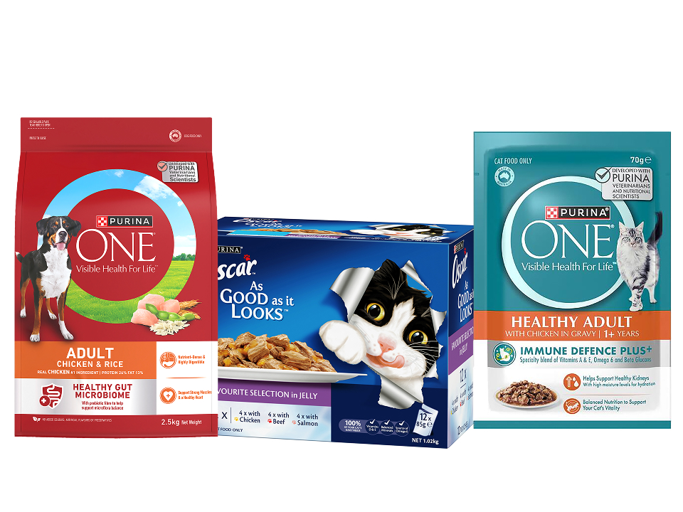 Bag of Purina One dog food next to a box of Felix As Good As It Looks cat food pouches and a pouch of Purina One cat food.