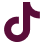 TikTok logo icon