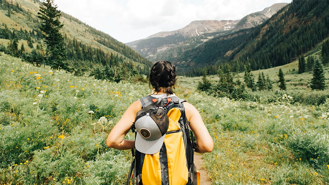Person wearing a yellow and black backpack walking on a trail in the mountains surrounded by green plants