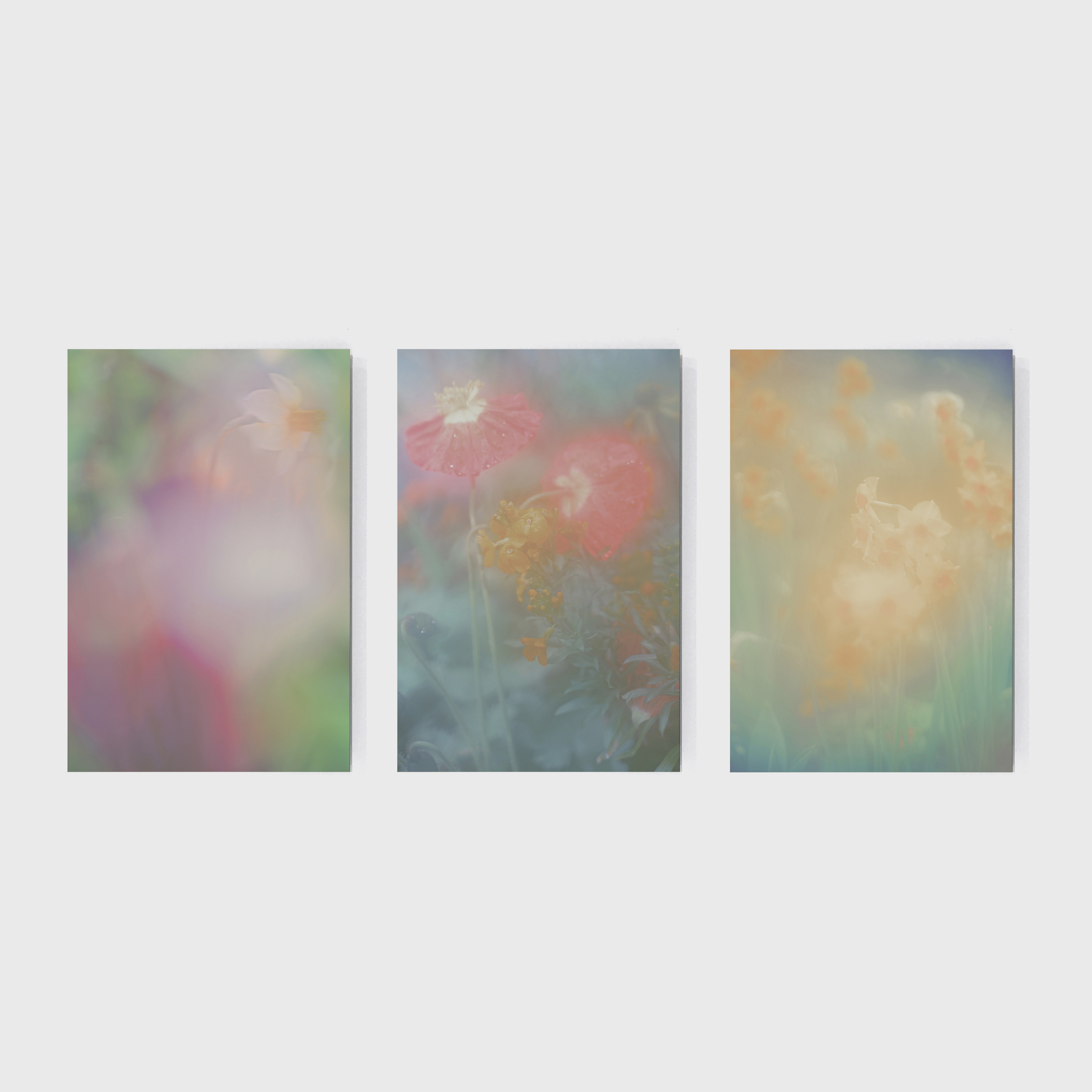 jordan-sullivan-on-autumns-of-