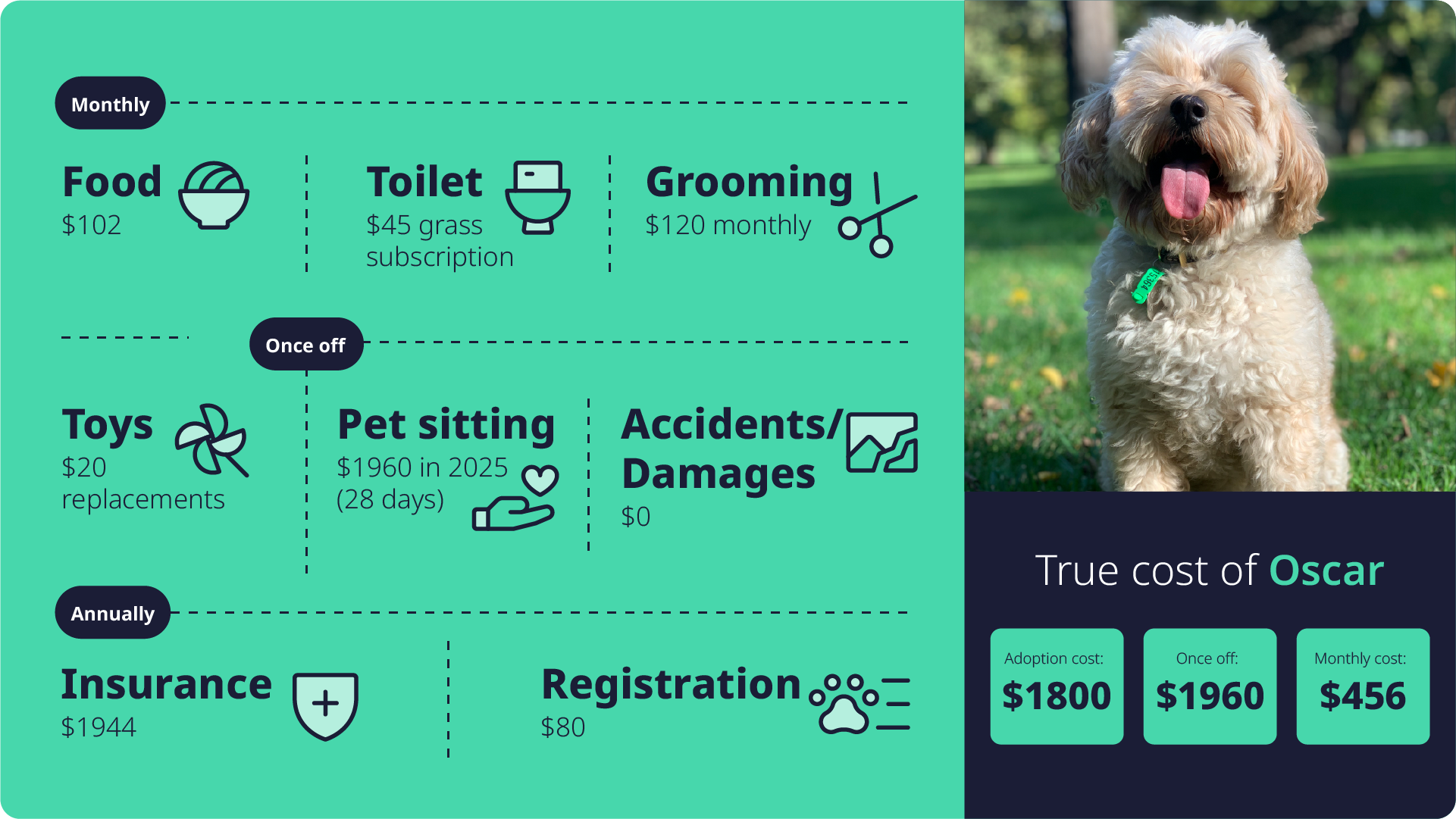 True cost of pets | Oscar.