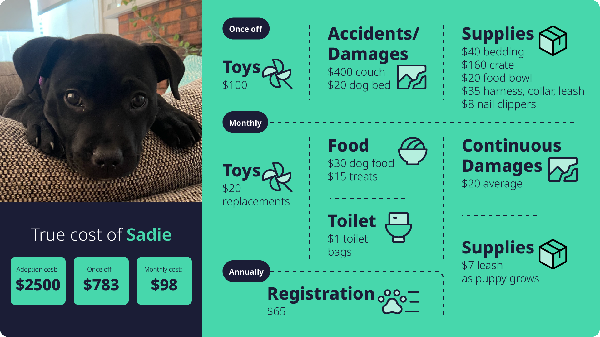 True cost of pets | Sadie.