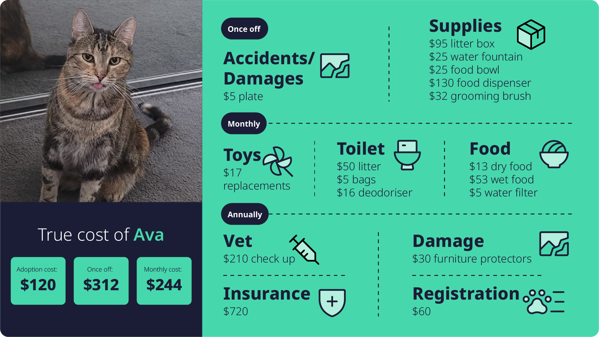 True cost of pets | Ava.