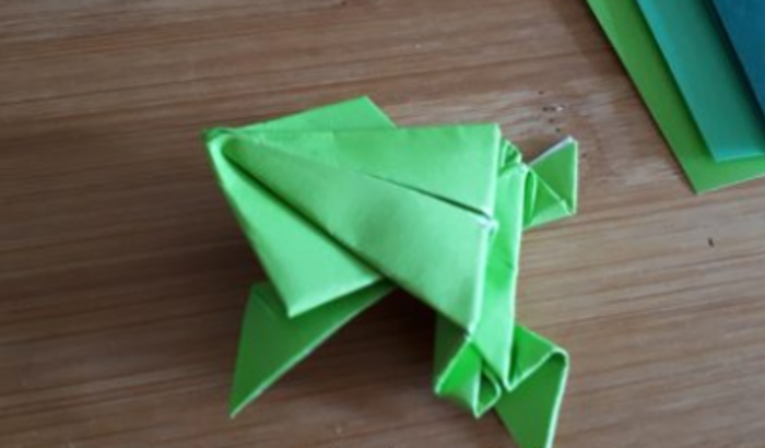 cover origami rana salterina