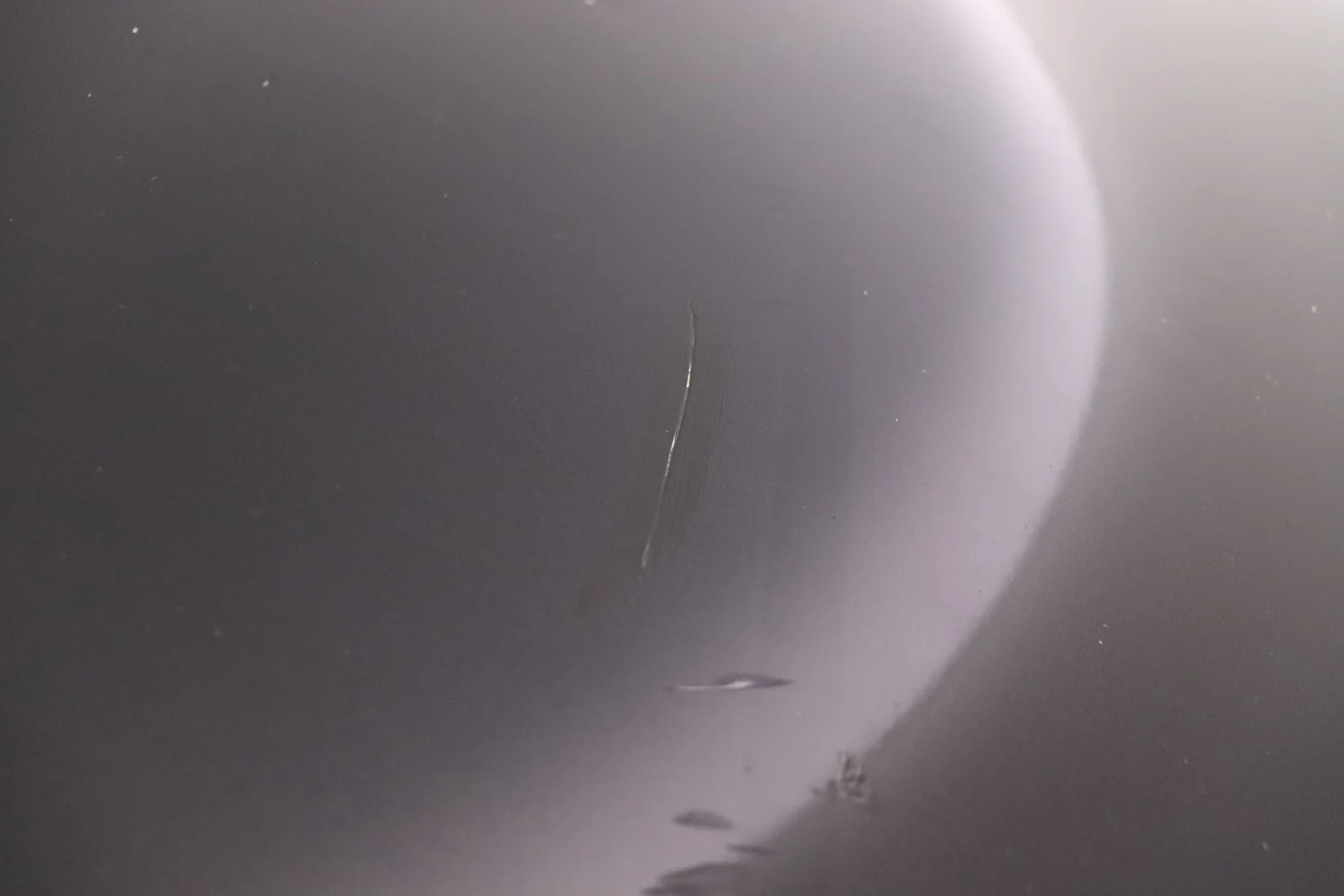 Car Image - 1FyS825JiXBvQPvA8qQqZD