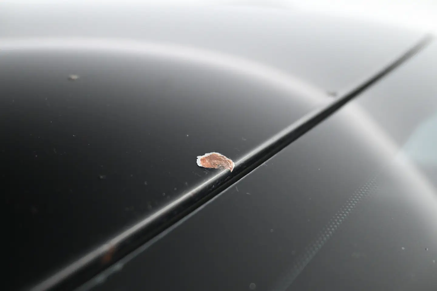 Car Image - 561F9ahaCLZVNw4qhr1Krc