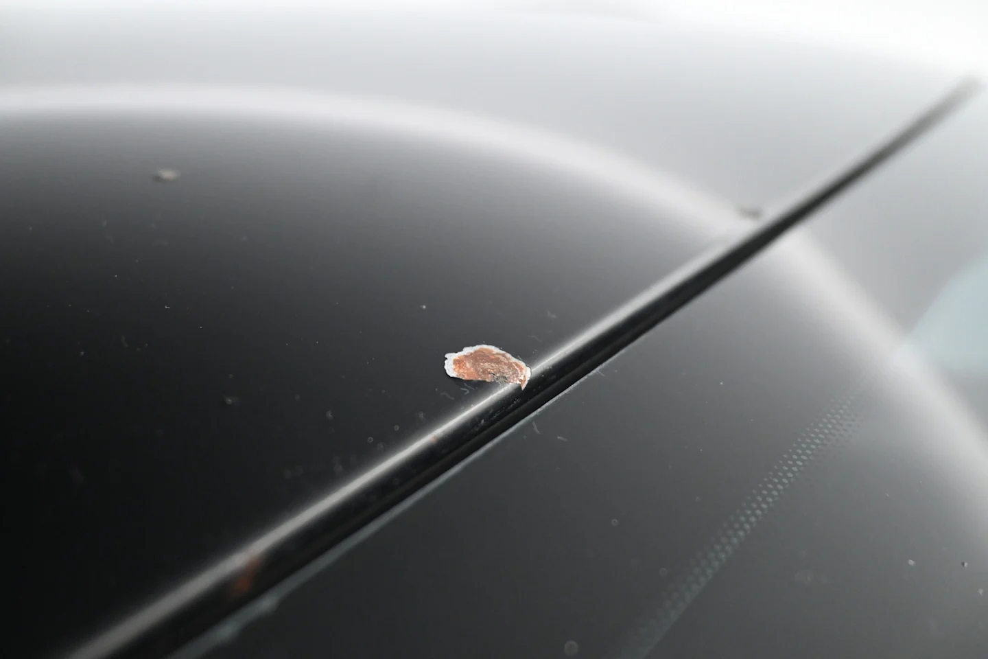 Car Image - 561F9ahaCLZVNw4qhr1Krc