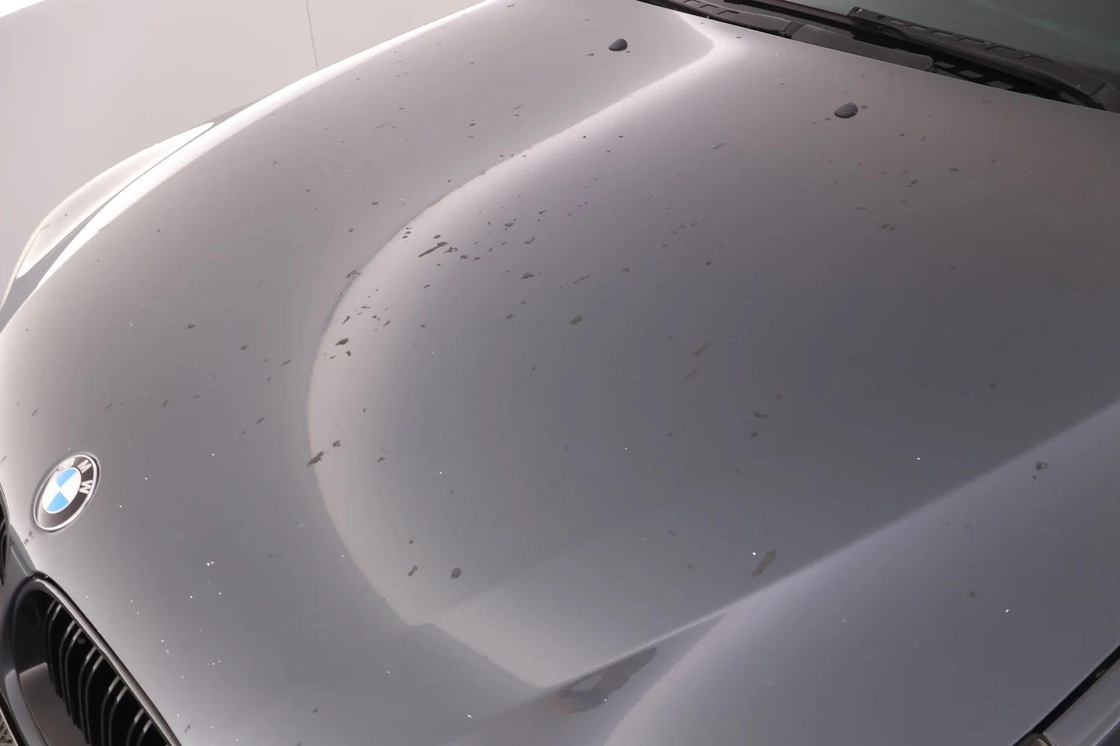 Car Image - 7MqUaeQJRyyNzQOngi8CGb