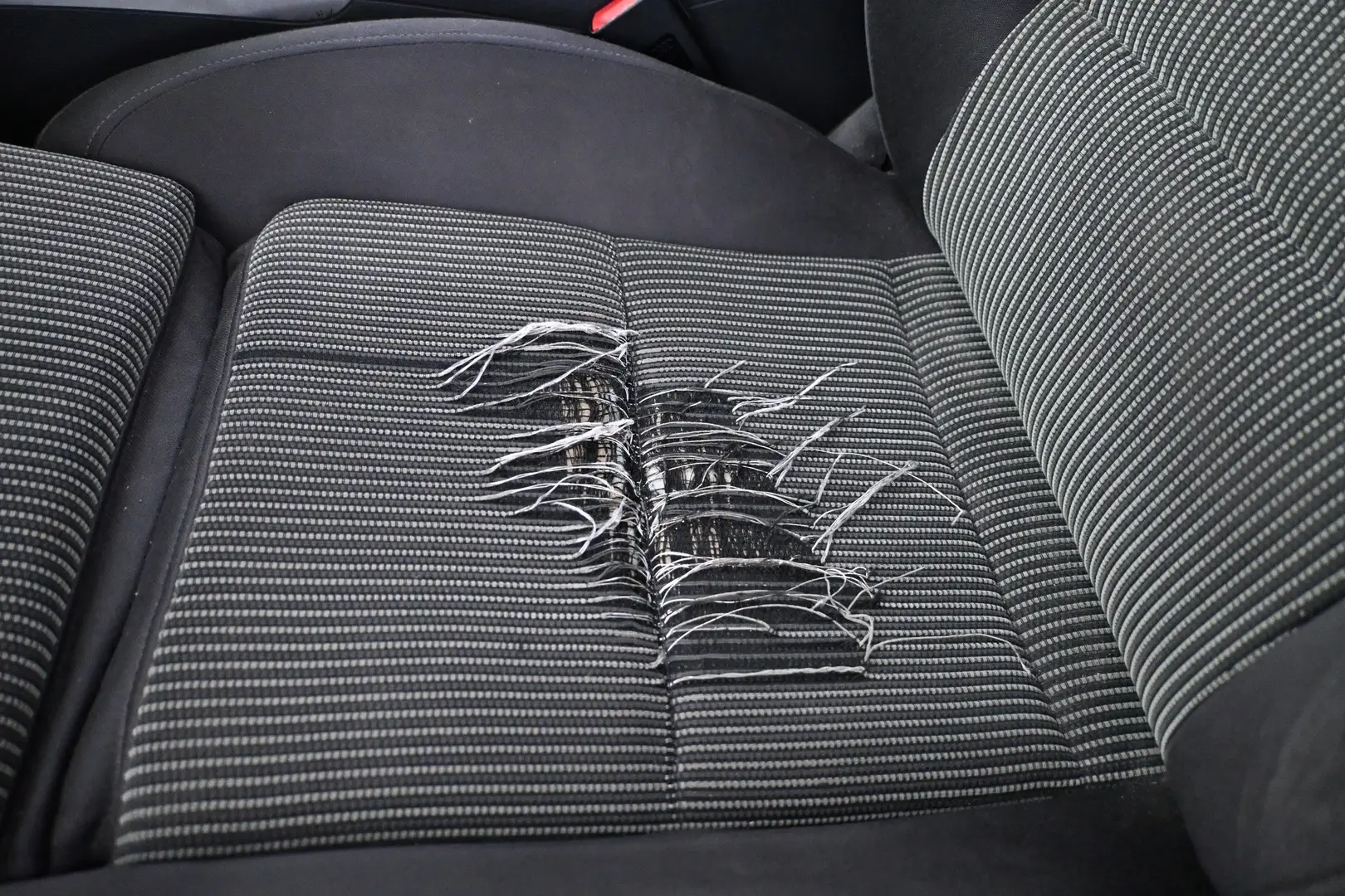 Car Image - tQpYGh72Y9LcvFpPVr6Sr