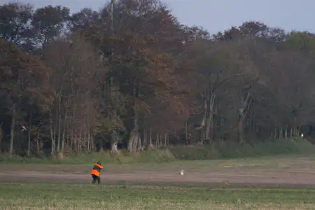 Chasse Tarn-et-Garonne