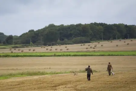 Chasse Seine-et-Marne