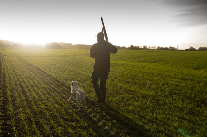 Chasse Petit Gibier Cocagne.fr