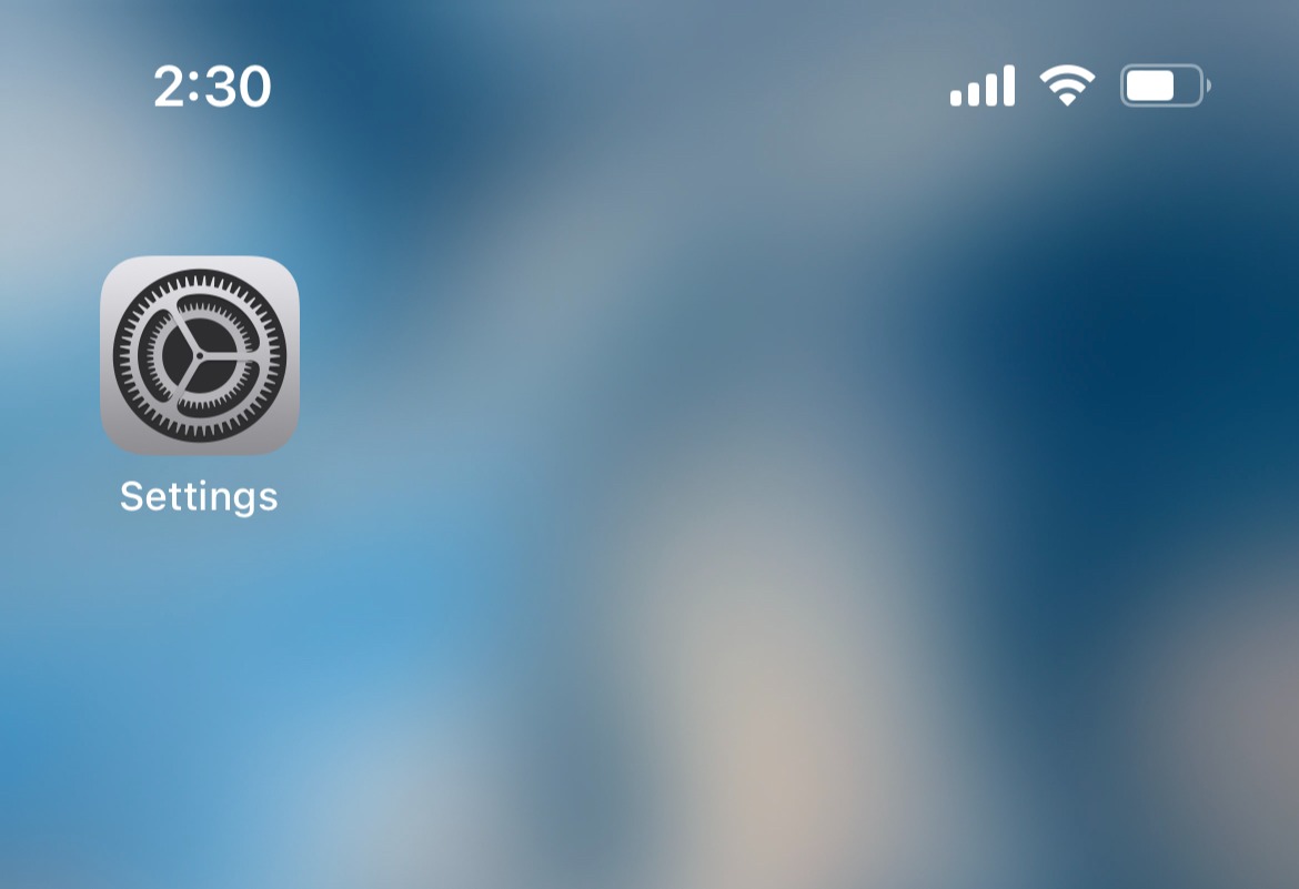 settings icon