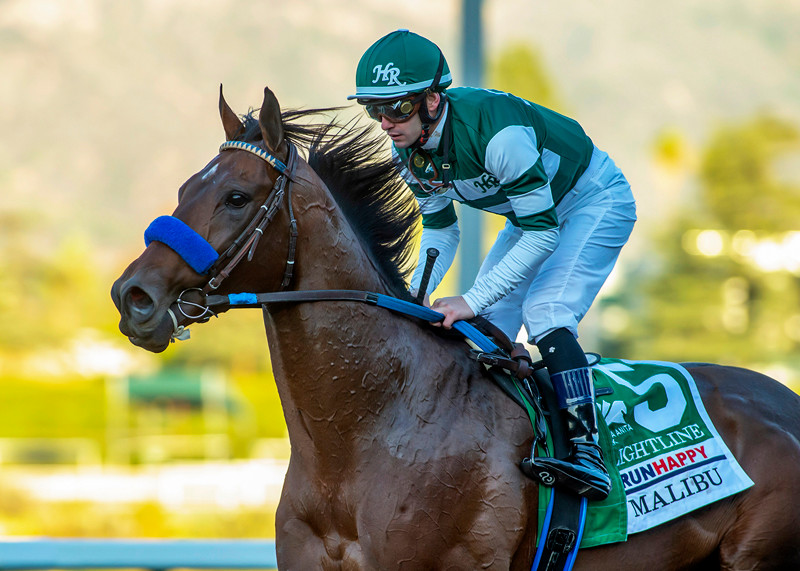 Flight Line Baseball Unbeaten Flightline To Have First Work Since His Pacific Classic Romp ...