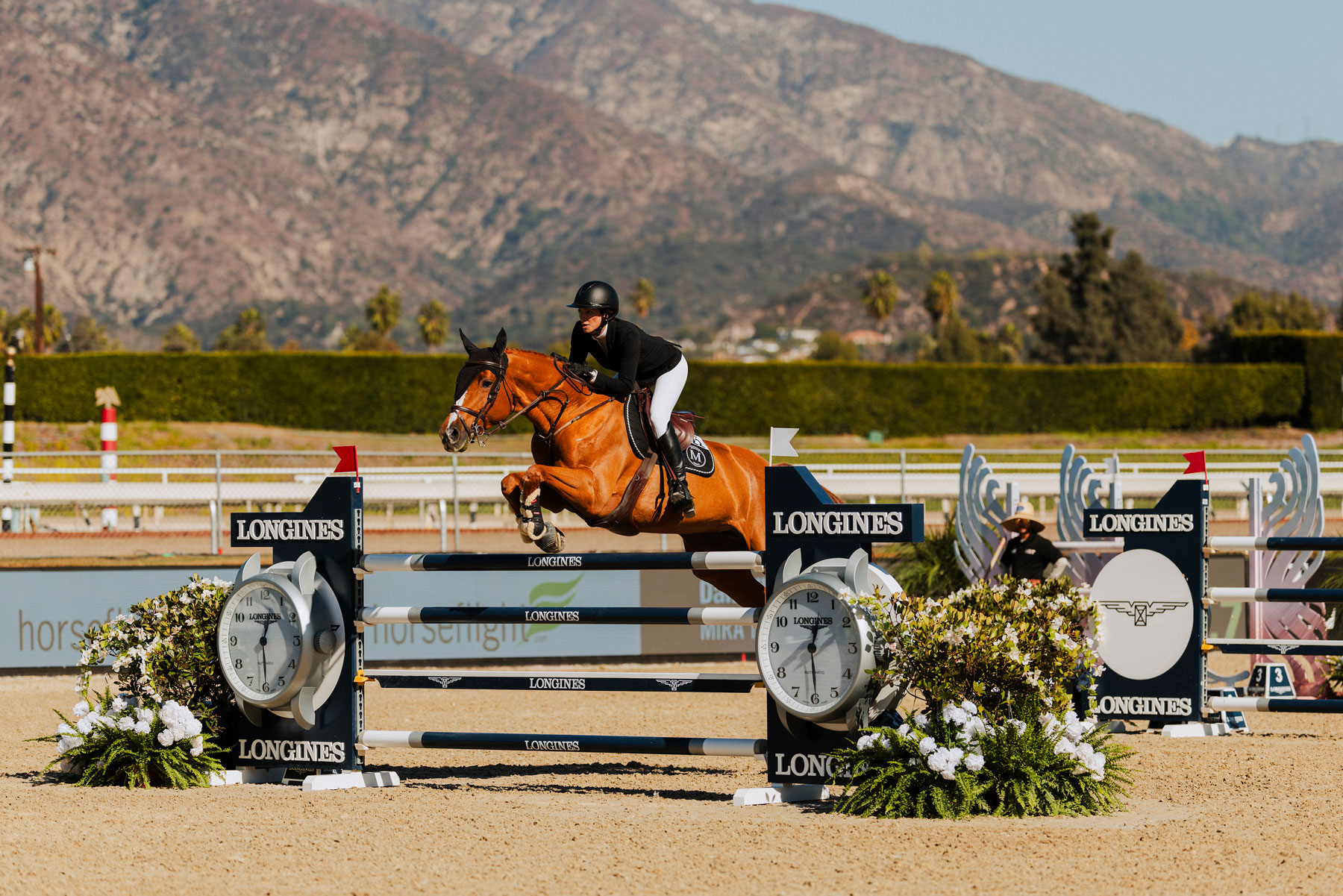 スピッツ THE GREAT JAMBOREE FESTIVARENA Z Swirl Comet - 2025 Johansen Tour Series
