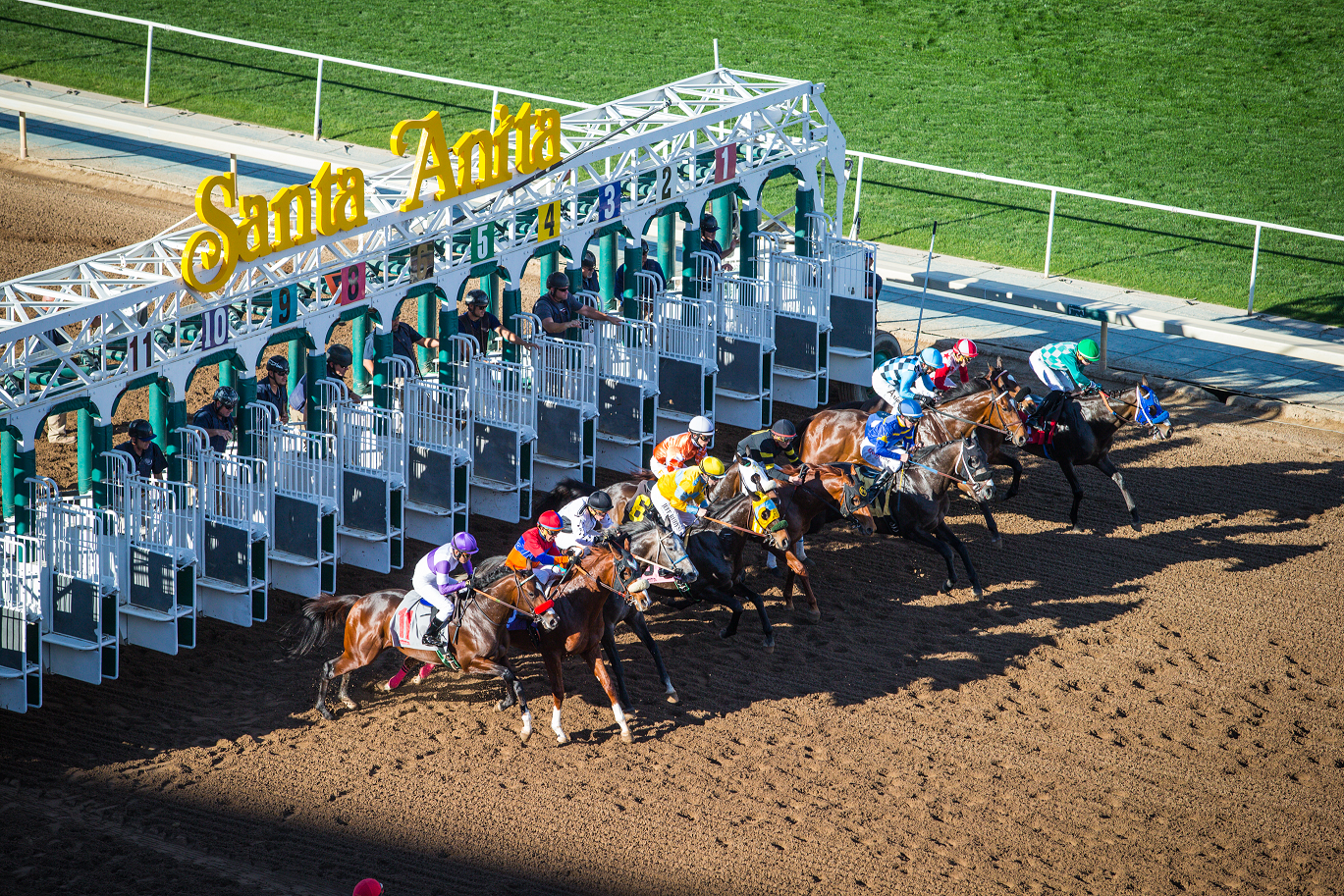 ✳️【非売品】SANTA ANITA PARK ジョッキークラブジャージS