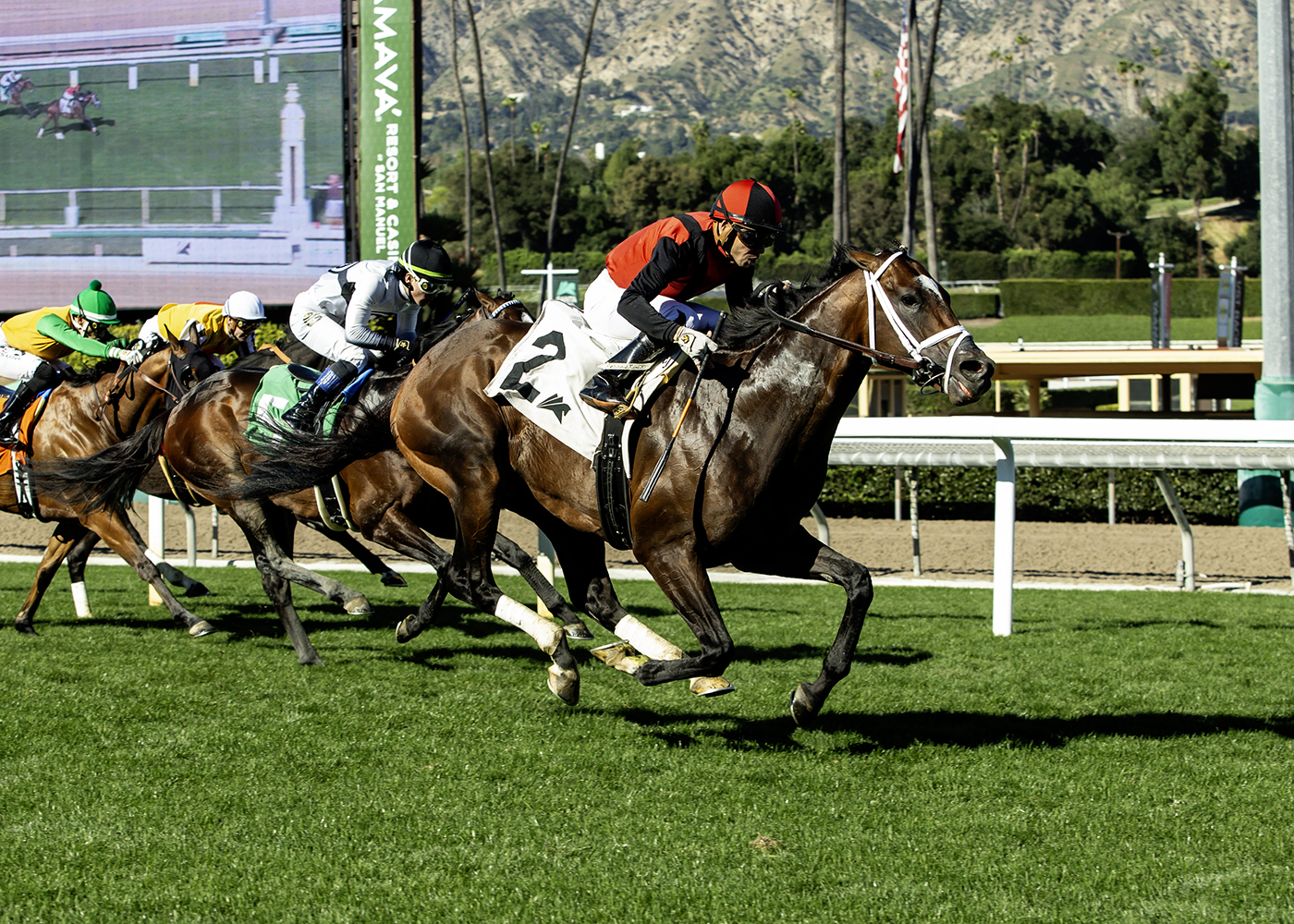 Yellow Card Runs Past Them All In The Stretch To Win The Clockers