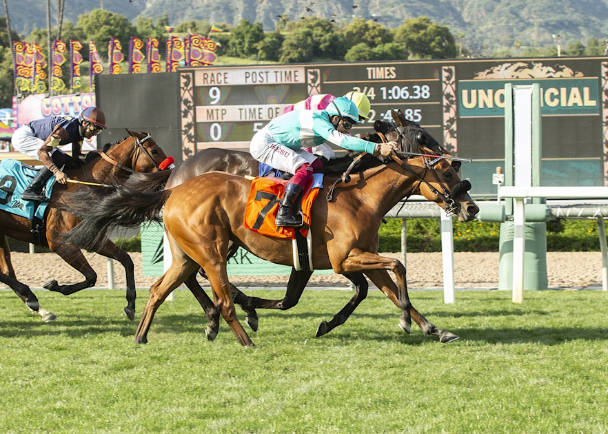 100-000-angels-flight-stakes-quotes-2024-santa-anita-park
