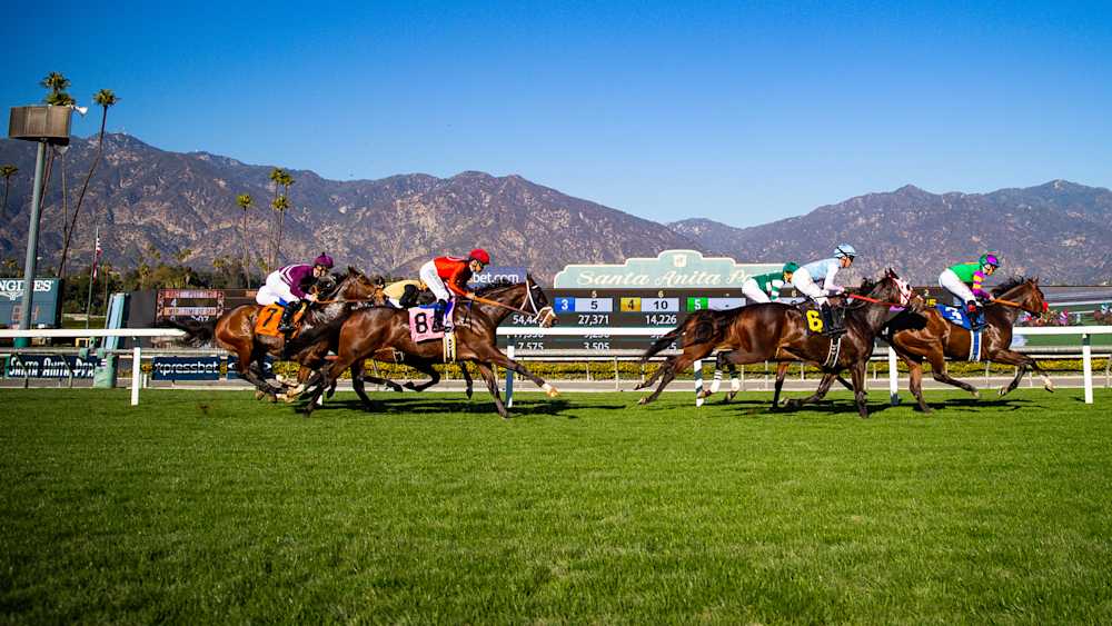 Thoroughbred Horse Racing in Southern California | Santa Anita Park