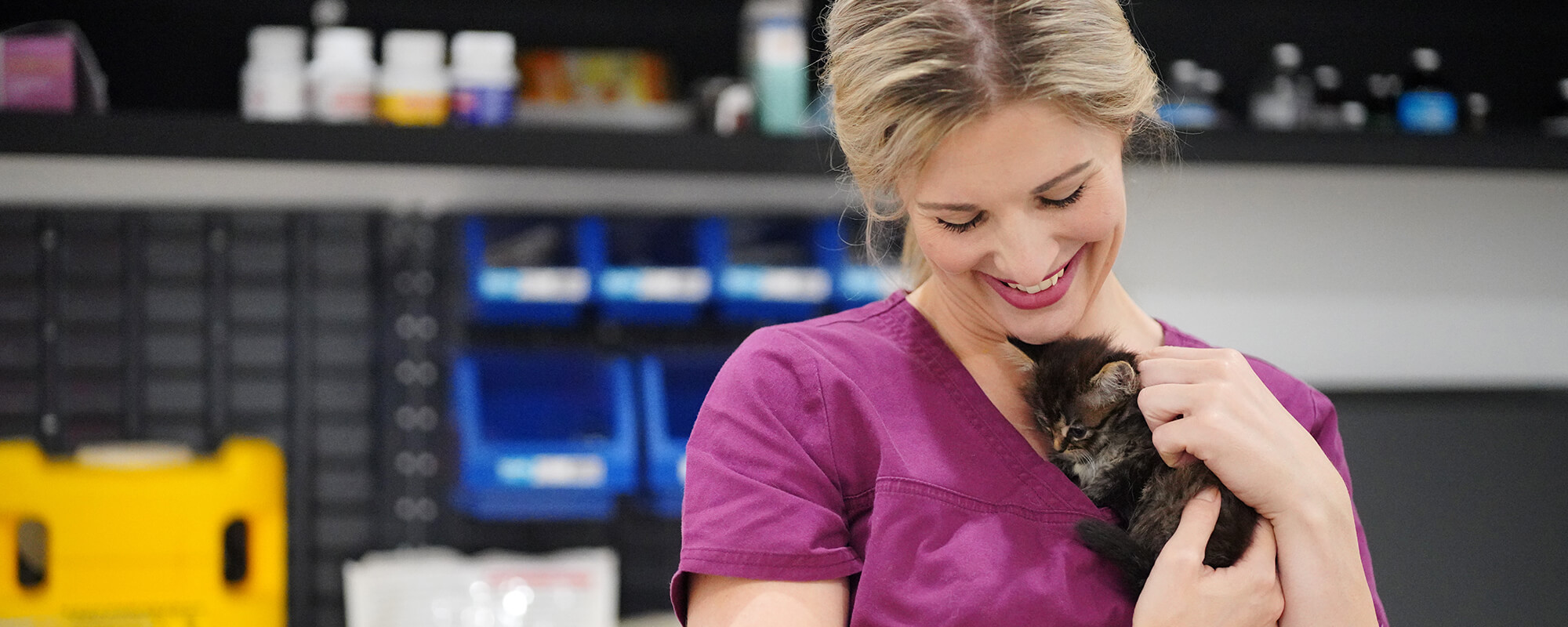 How To An Animal Attendant Swinburne Open Education