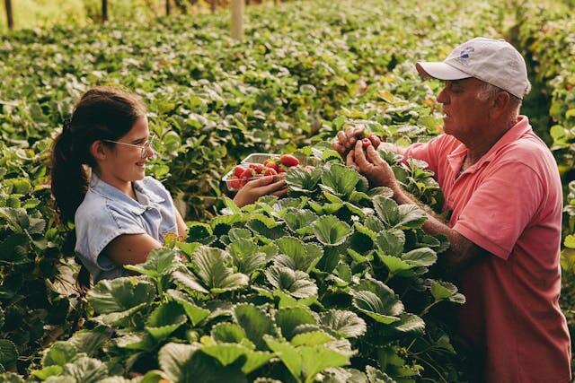 intergenerational-engagement