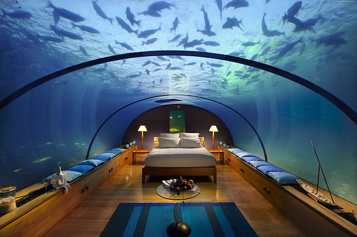 single room