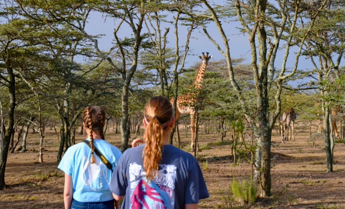 Two young travelers watching a giraffe through acacia woodland on a walking safari