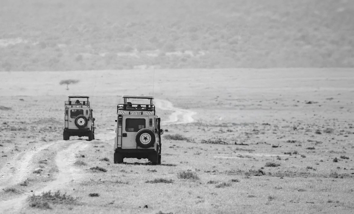 Black-and-white photo of two safari vehicles driving across open plains