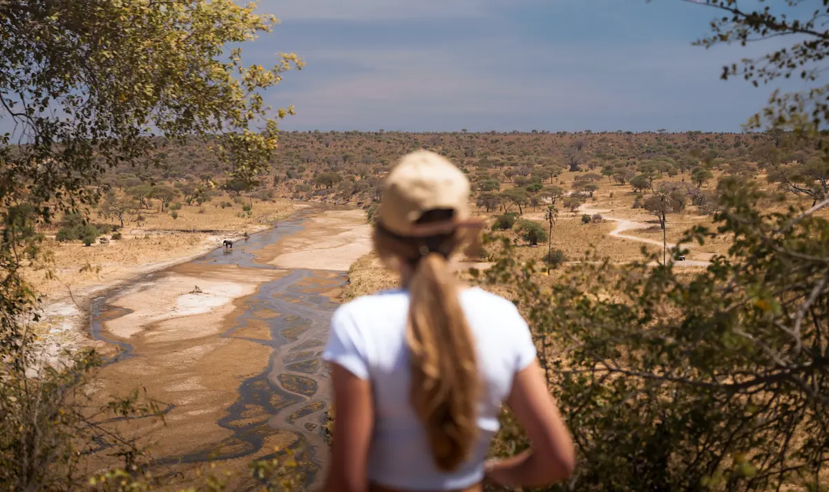 Traveler looking out over a dry, braided riverbed in Tarangire National Park
