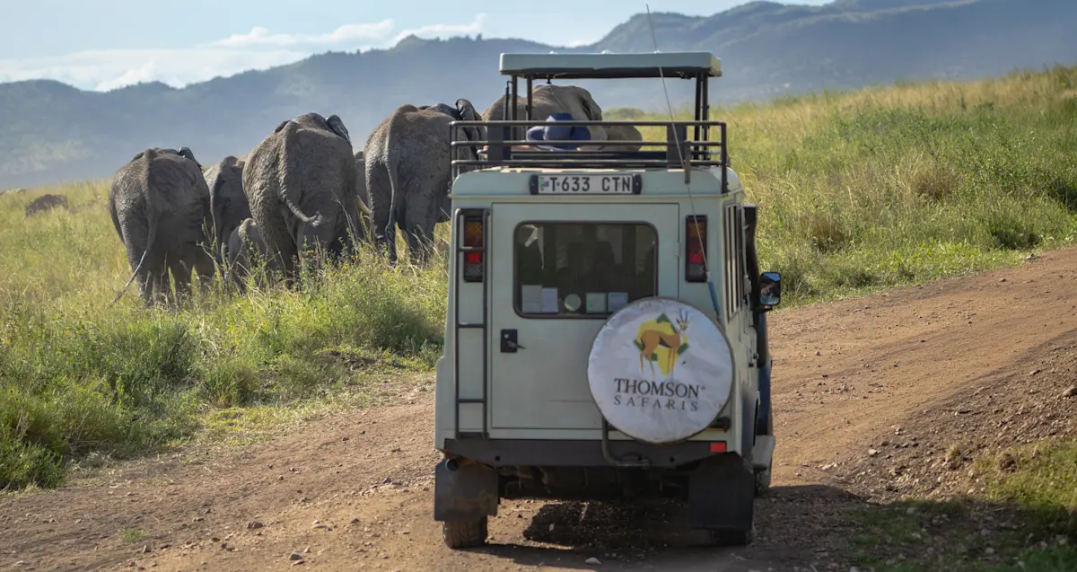Thomson Safaris vehicle following a group of elephants on a dirt road in the Serengeti