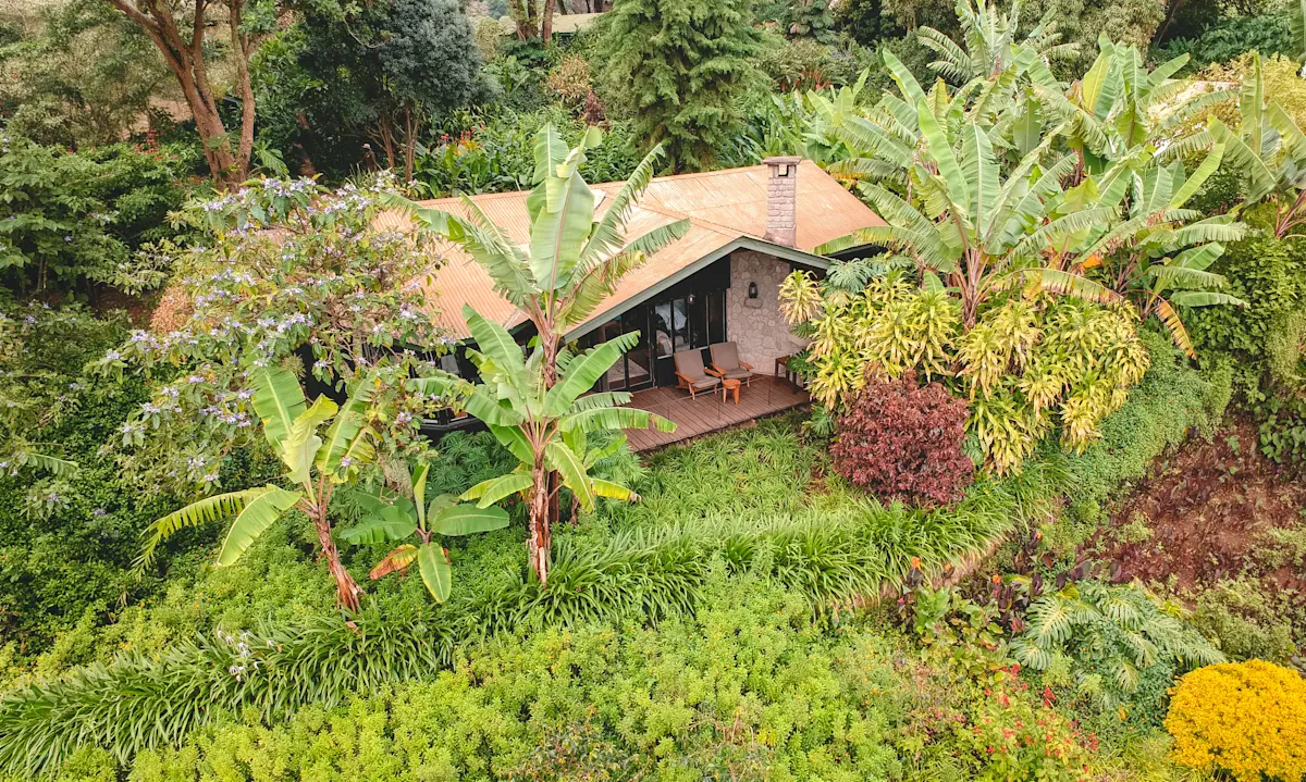 Aerial view of a guest cottage surrounded by banana plants and gardens at Gibb's Farm