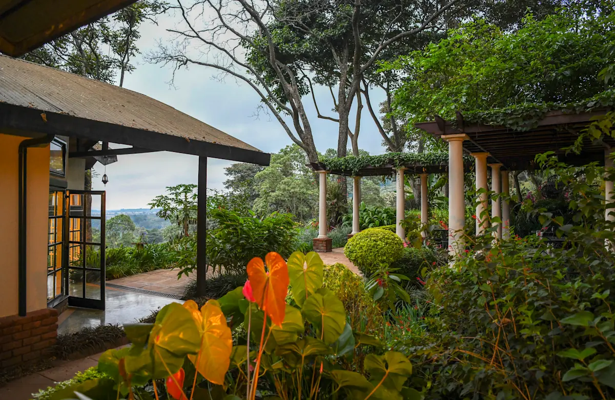 Garden with orange flowers beside a veranda and pergola at Gibb's Farm