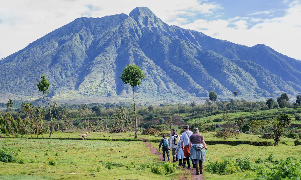 Hikers walking a path through green farmland toward a volcano in Volcanoes National Park, Rwanda