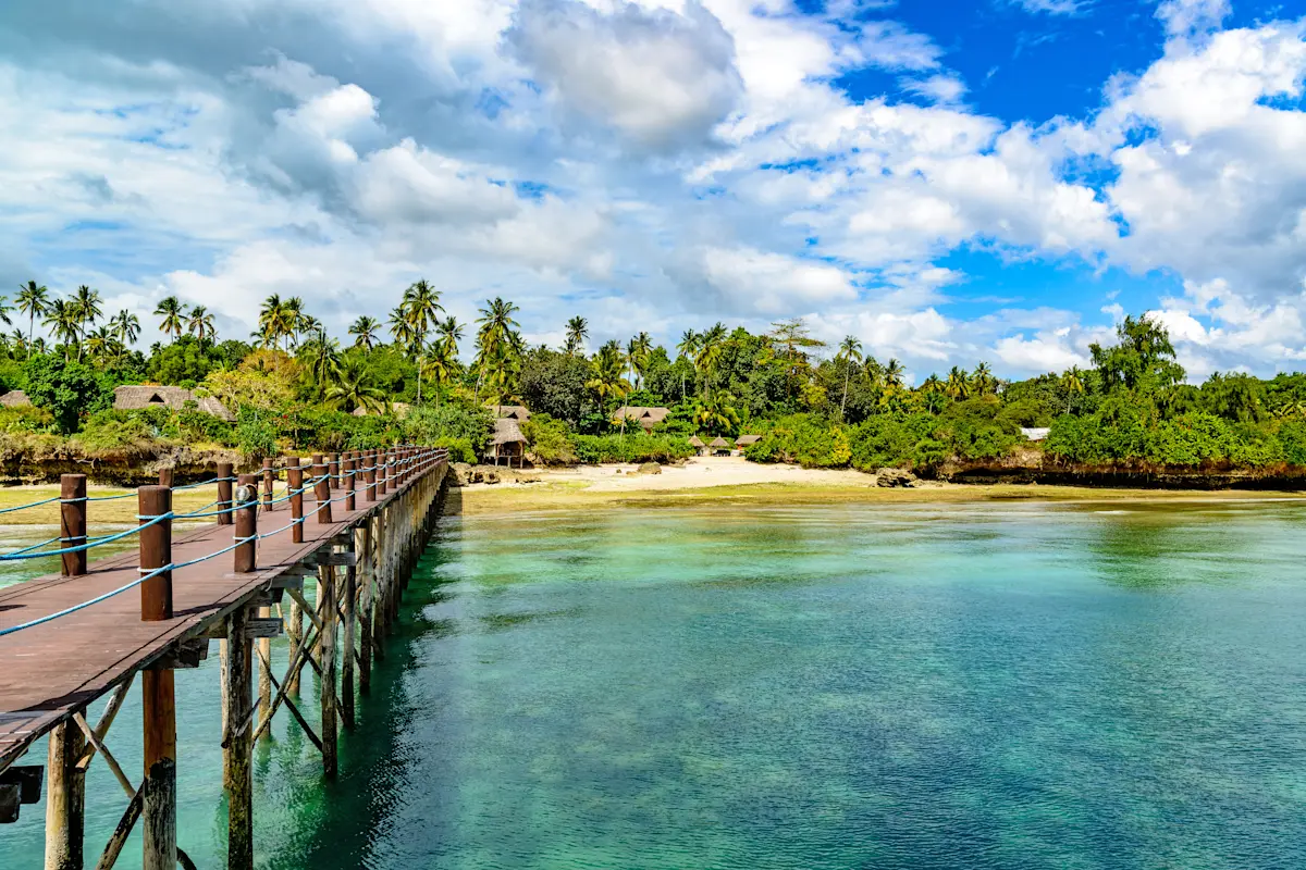 Wooden jetty over clear turquoise water leading to a palm-lined beach on Zanzibar