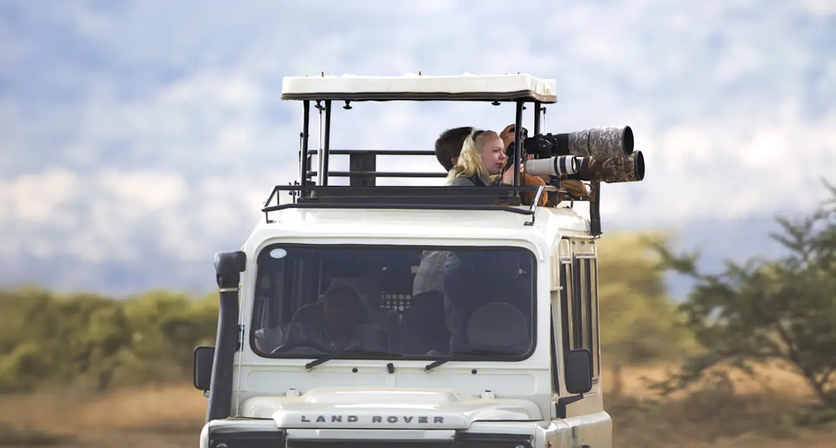 Photographers with long lenses standing up through the roof hatch of a safari vehicle