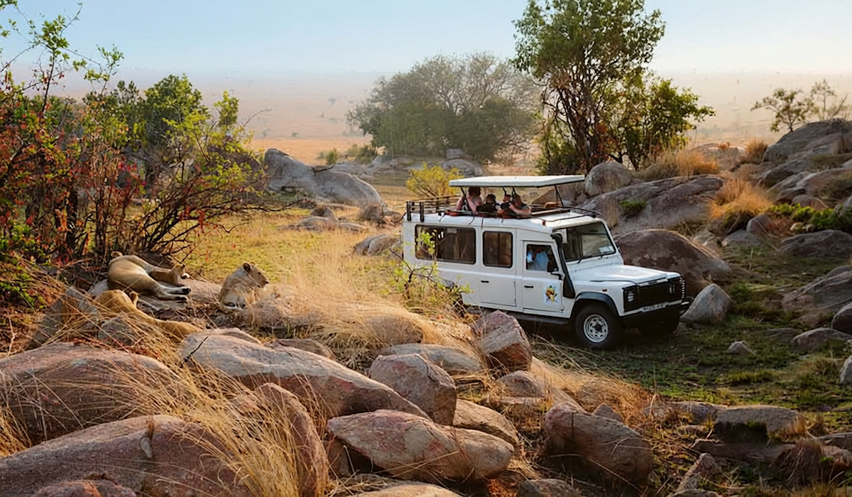 Safari vehicle parked among rocks near lions resting in the grass